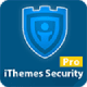 iThemes Security Pro1